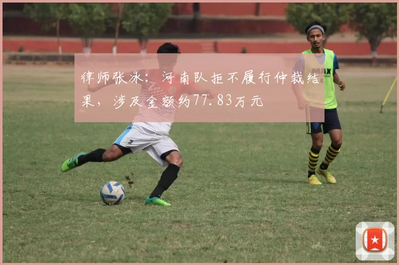 律师张冰：河南队拒不履行仲裁结果，涉及金额约77.83万元