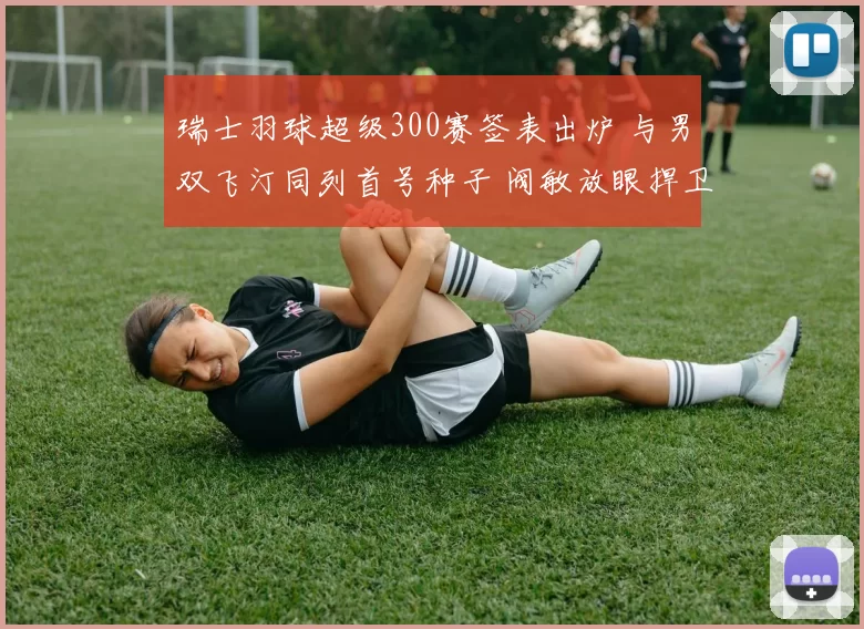 瑞士羽球超级300赛签表出炉 与男双飞汀同列首号种子 阀敏放眼捍卫混双冠军