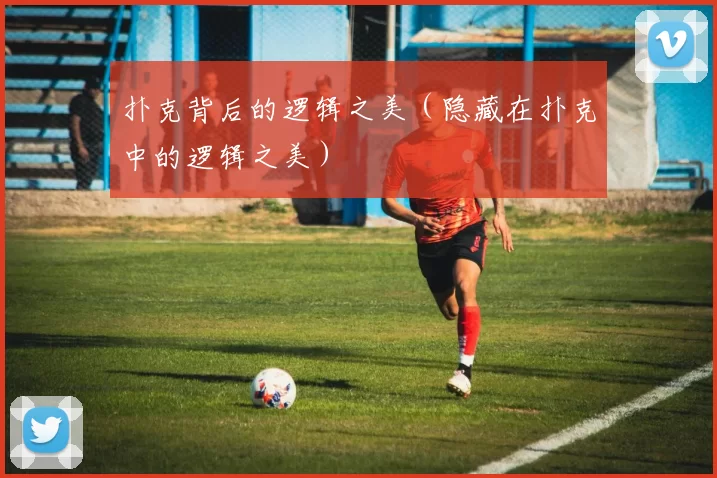 扑克背后的逻辑之美（隐藏在扑克中的逻辑之美）