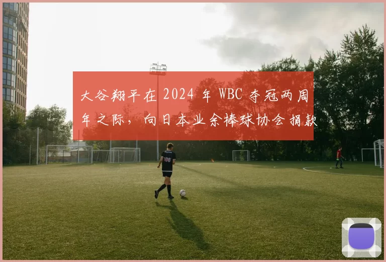 大谷翔平在 2024 年 WBC 夺冠两周年之际，向日本业余棒球协会捐款 1 亿日元