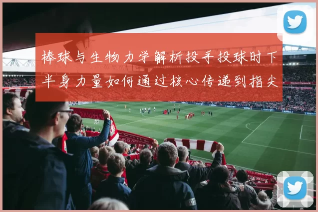 棒球与生物力学解析投手投球时下半身力量如何通过核心传递到指尖