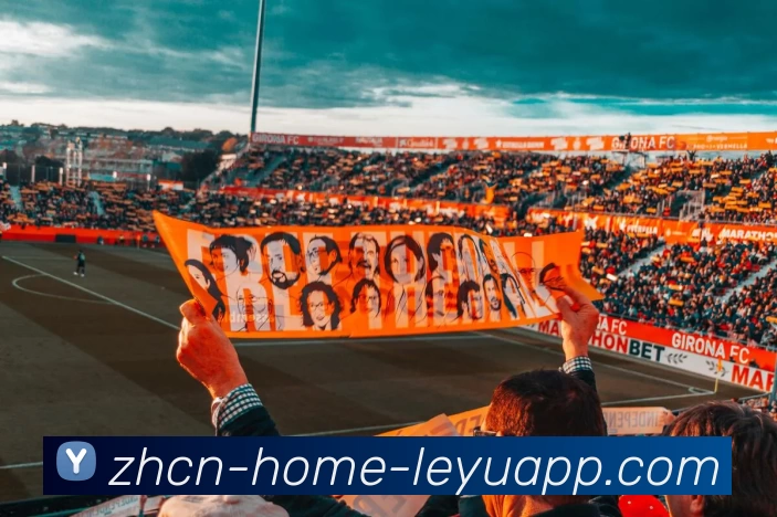 多媒体互动体验